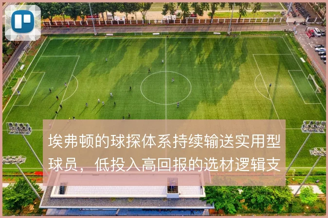 埃弗顿的球探体系持续输送实用型球员,低投入高回报的选材逻辑支撑阵容