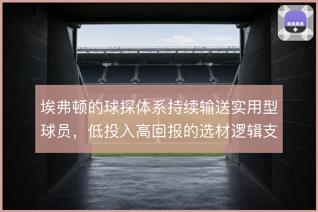 埃弗顿的球探体系持续输送实用型球员，低投入高回报的选材逻辑支撑阵容