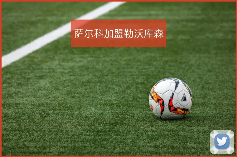 萨尔科加盟勒沃库森