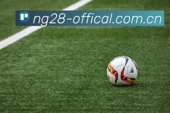 ng28APP 赛事界面图
